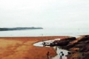 海滩沙雕